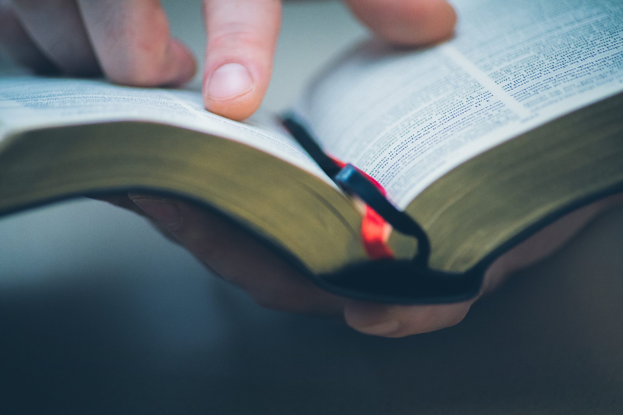 Bible reading